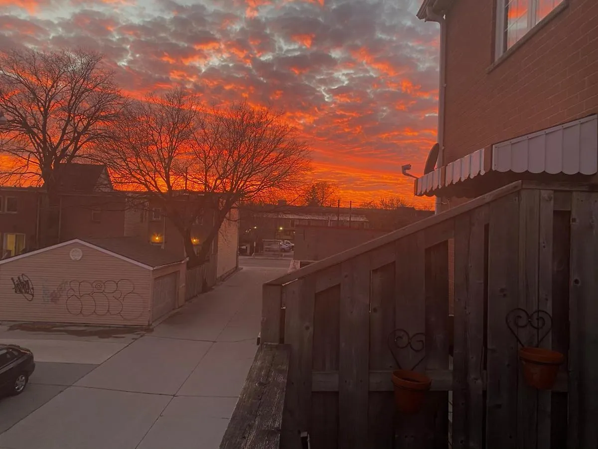 Downtown Studio In Leslieville With Hot Tub Hotel Toronto Guest house